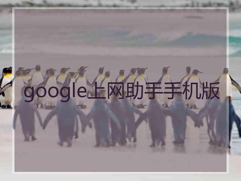 google上网助手手机版