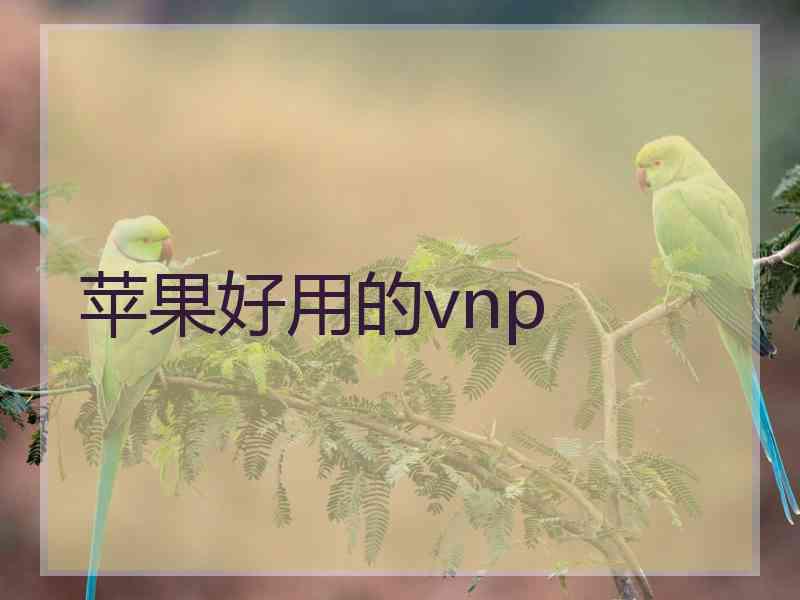 苹果好用的vnp