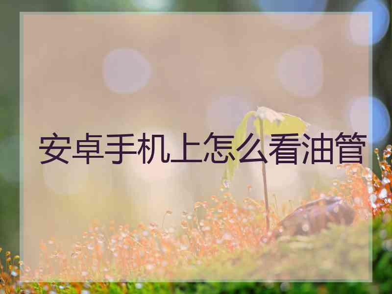 安卓手机上怎么看油管