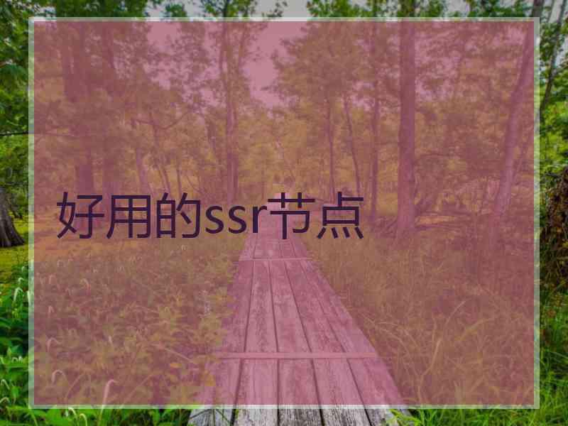 好用的ssr节点