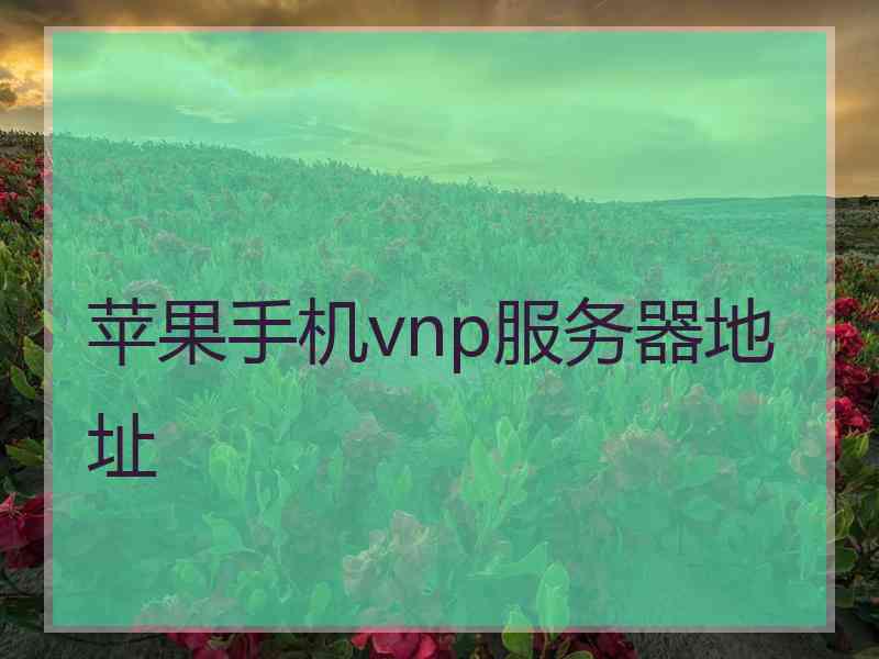 苹果手机vnp服务器地址