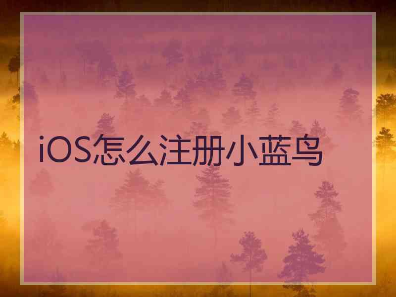 iOS怎么注册小蓝鸟