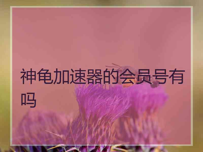 神龟加速器的会员号有吗