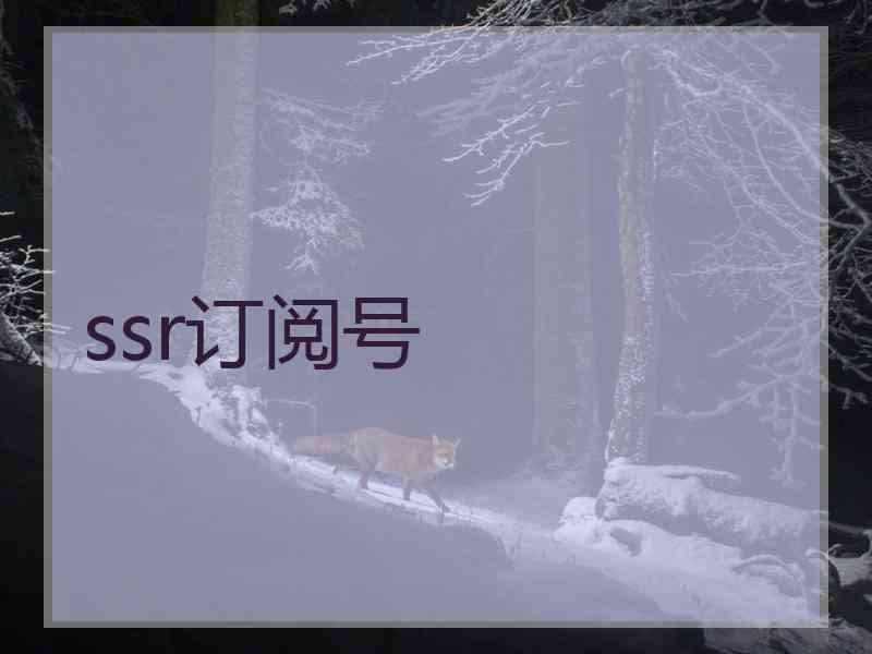 ssr订阅号