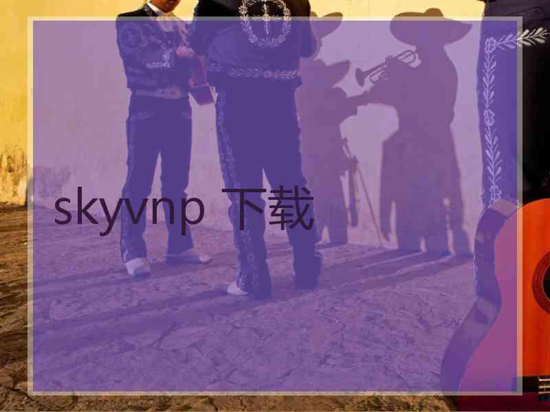 skyvnp 下载
