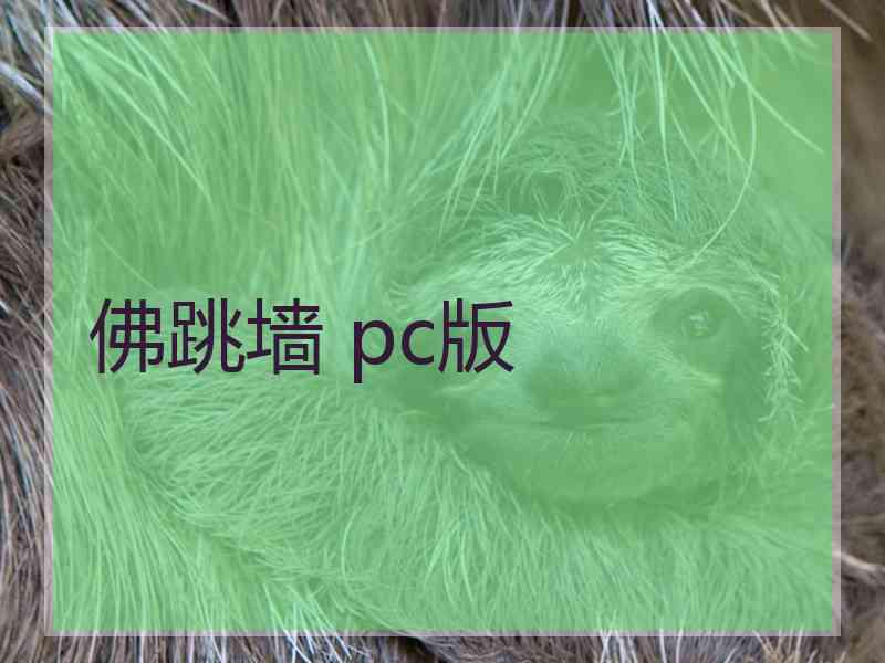 佛跳墙 pc版