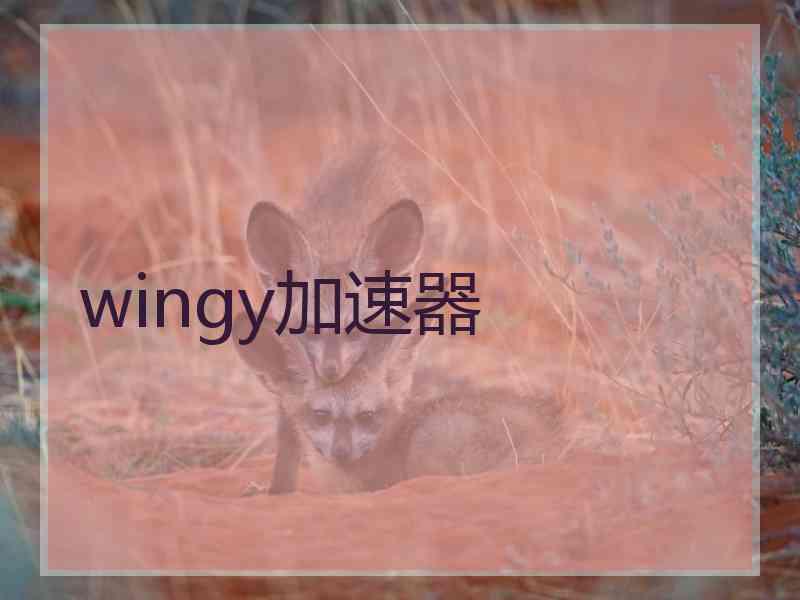 wingy加速器
