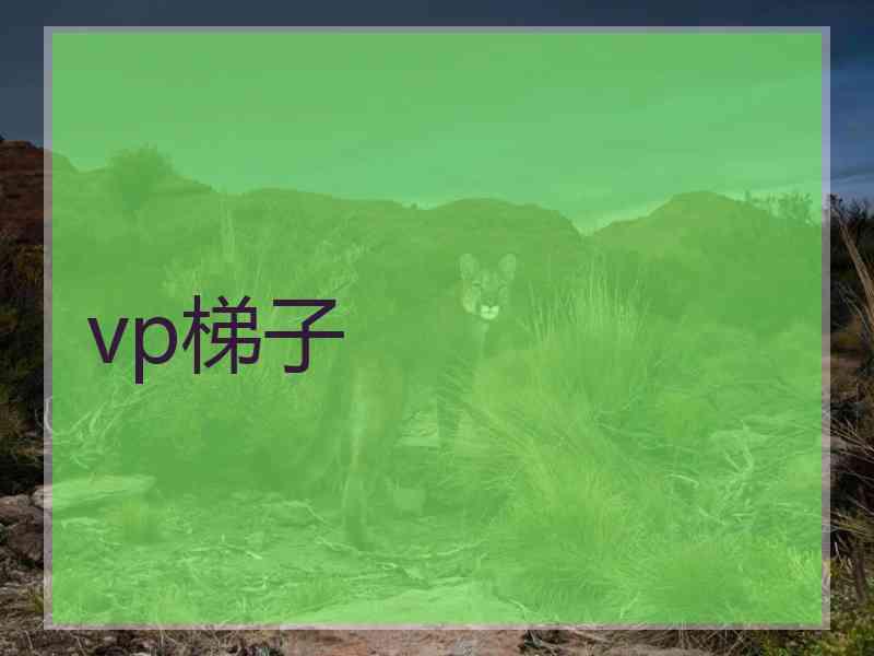 vp梯子