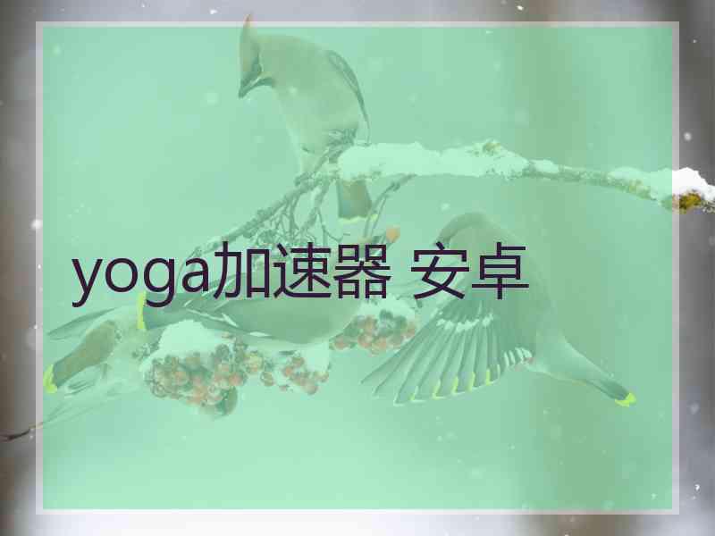 yoga加速器 安卓