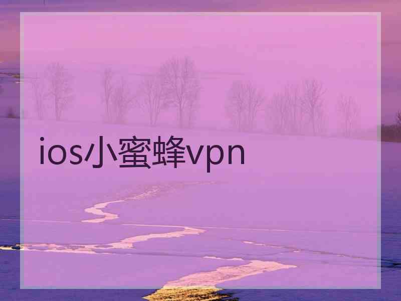 ios小蜜蜂vpn