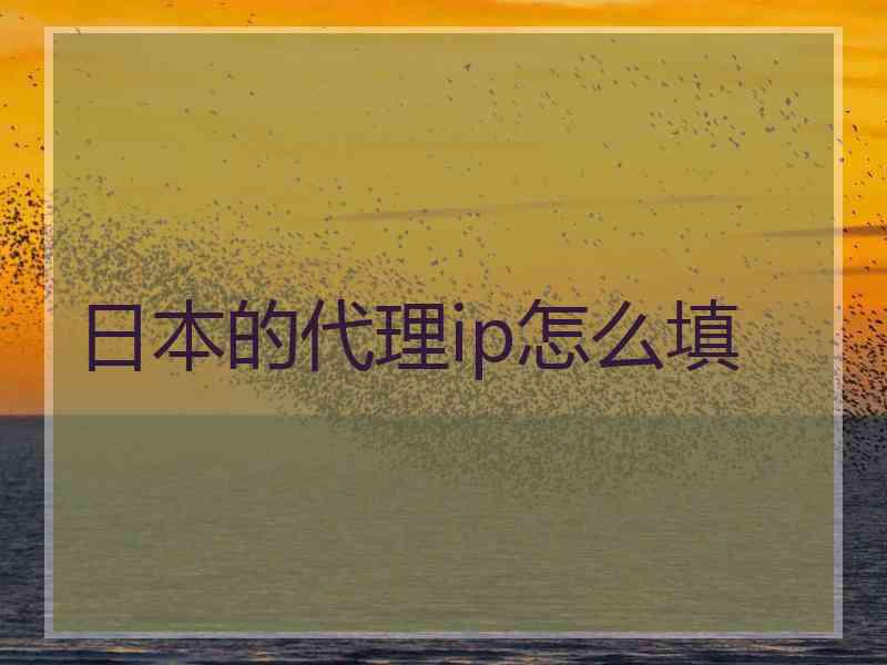 日本的代理ip怎么填
