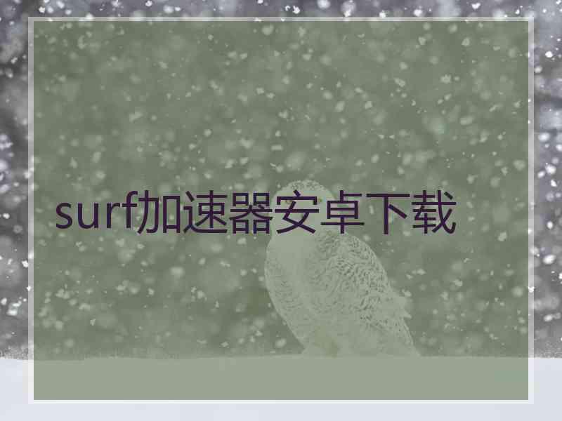 surf加速器安卓下载