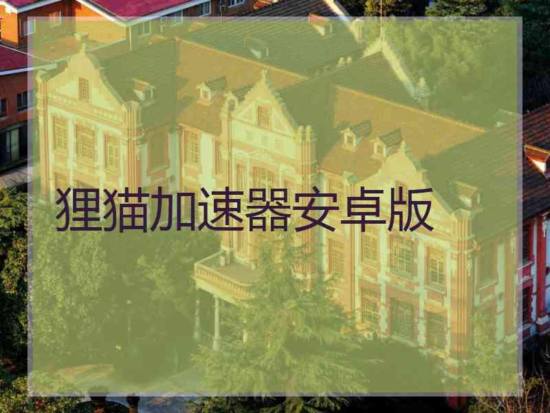 狸猫加速器安卓版