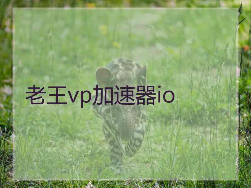 老王vp加速器io