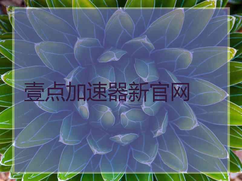 壹点加速器新官网