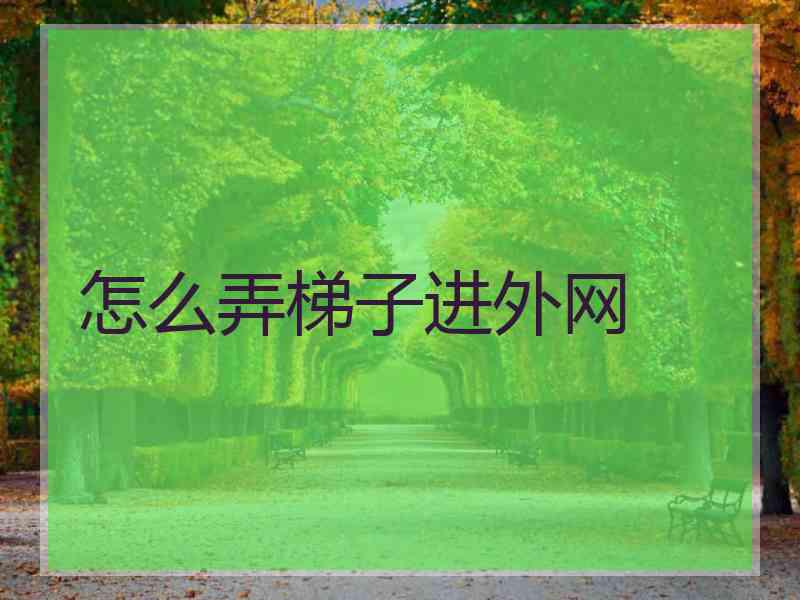 怎么弄梯子进外网