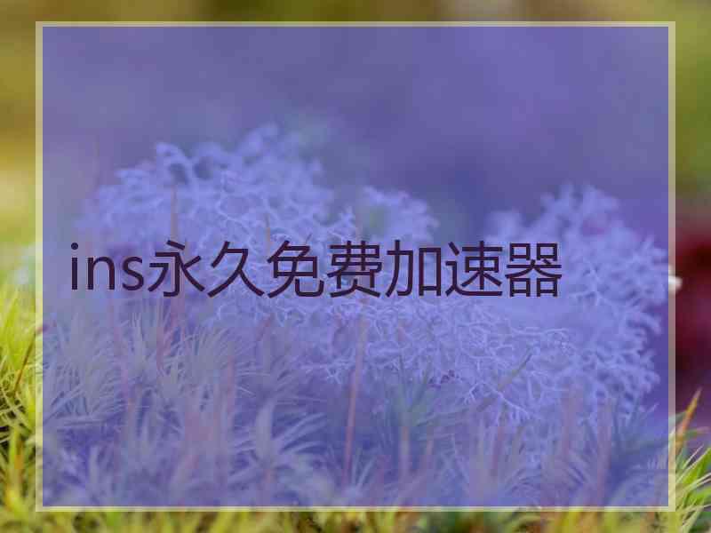 ins永久免费加速器