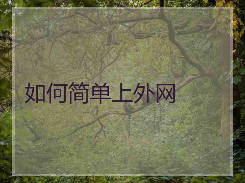 如何简单上外网