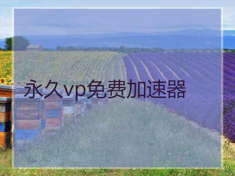 永久vp免费加速器