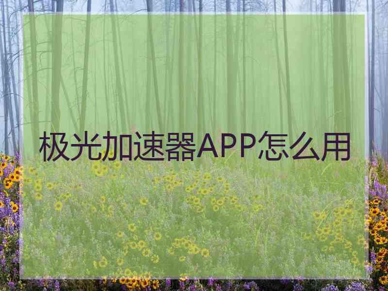 极光加速器APP怎么用
