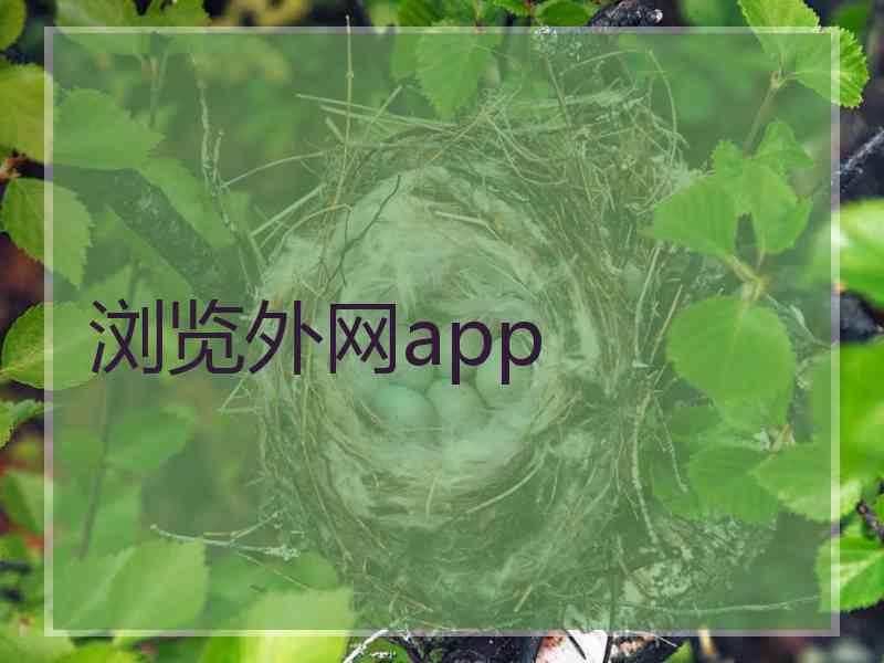 浏览外网app
