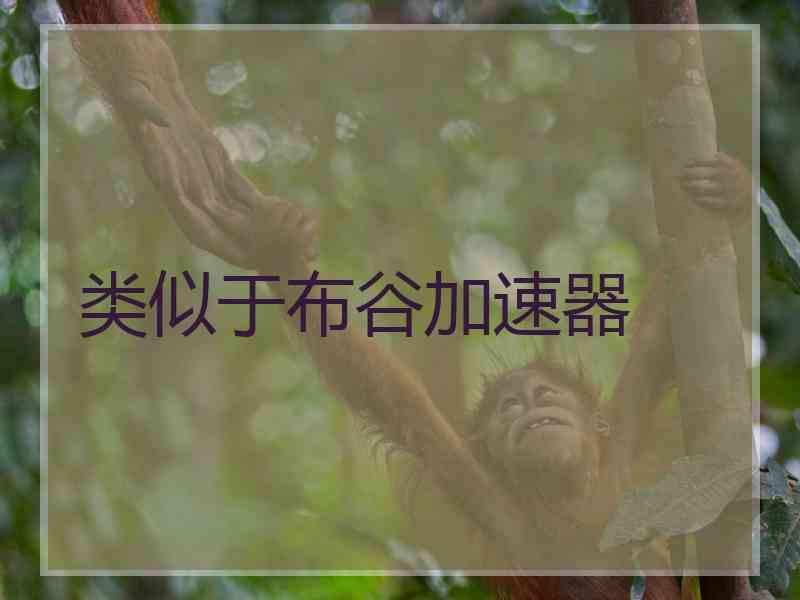 类似于布谷加速器