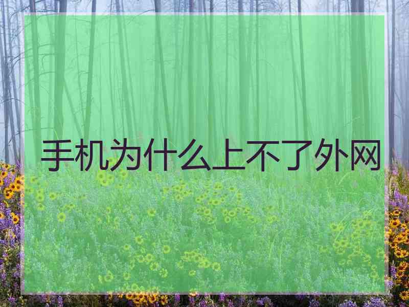 手机为什么上不了外网
