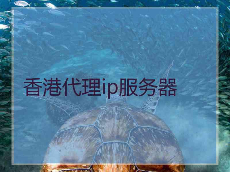 香港代理ip服务器