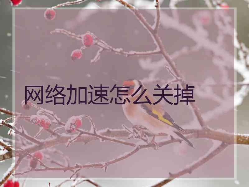 网络加速怎么关掉