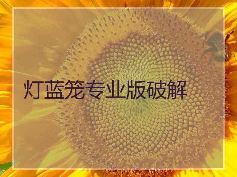 灯蓝笼专业版破解