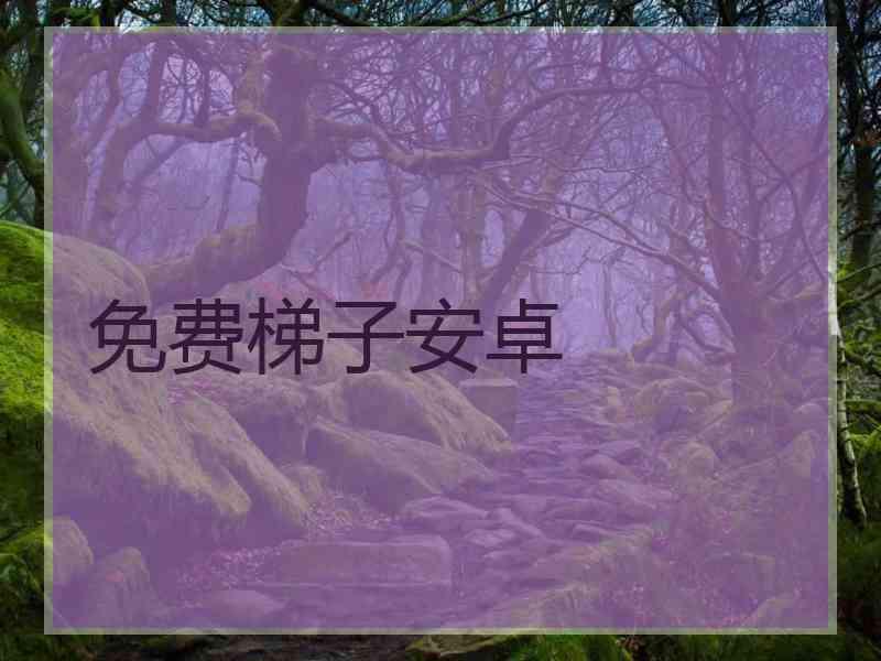 免费梯子安卓