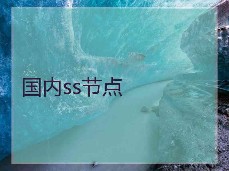国内ss节点