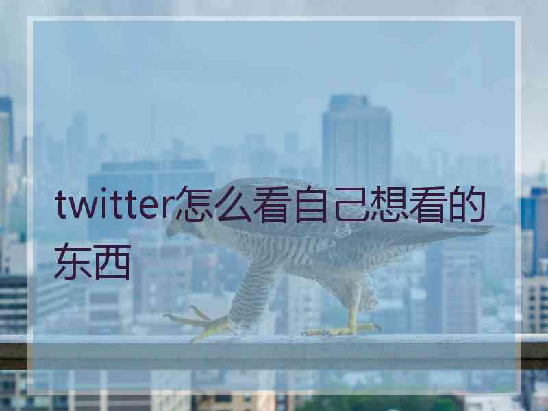 twitter怎么看自己想看的东西
