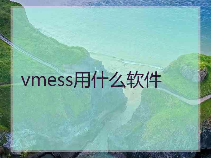vmess用什么软件