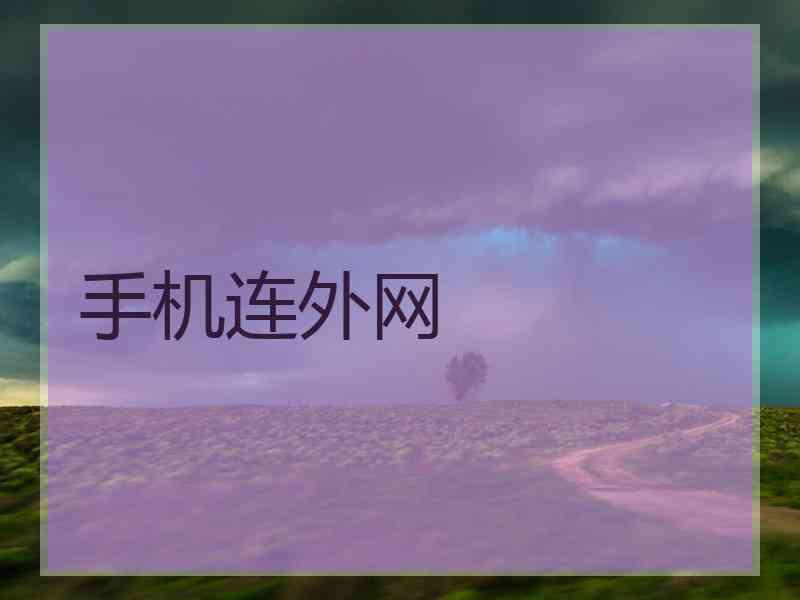 手机连外网