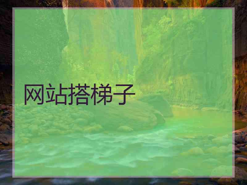 网站搭梯子