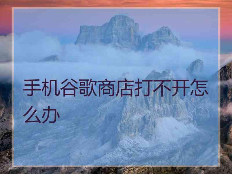 手机谷歌商店打不开怎么办