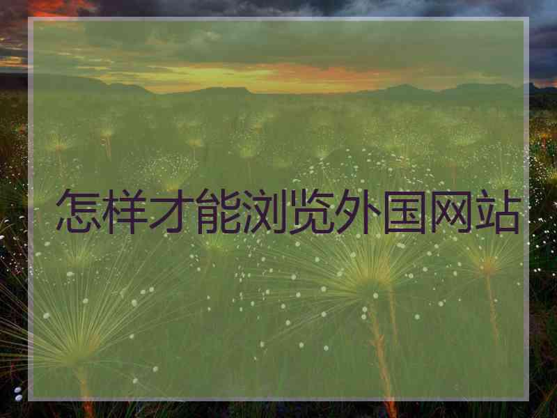 怎样才能浏览外国网站