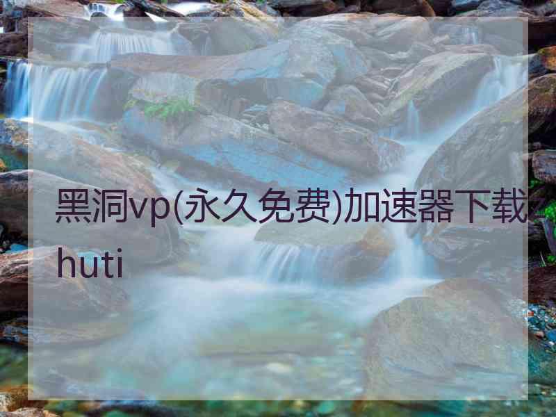 黑洞vp(永久免费)加速器下载zhuti
