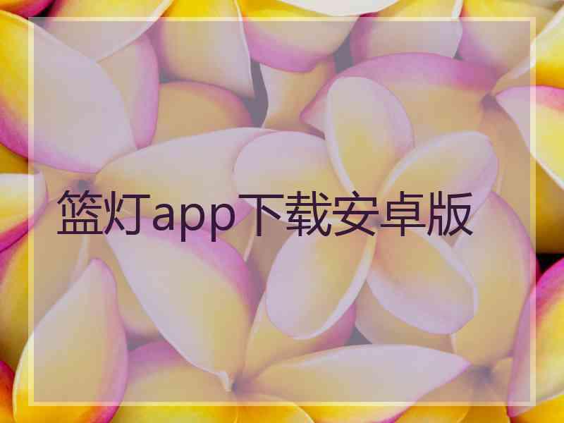 篮灯app下载安卓版