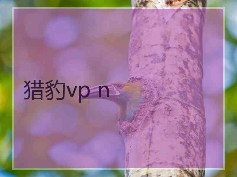 猎豹vp n
