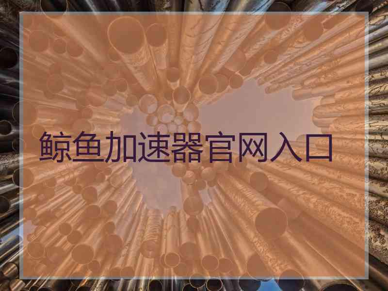 鲸鱼加速器官网入口