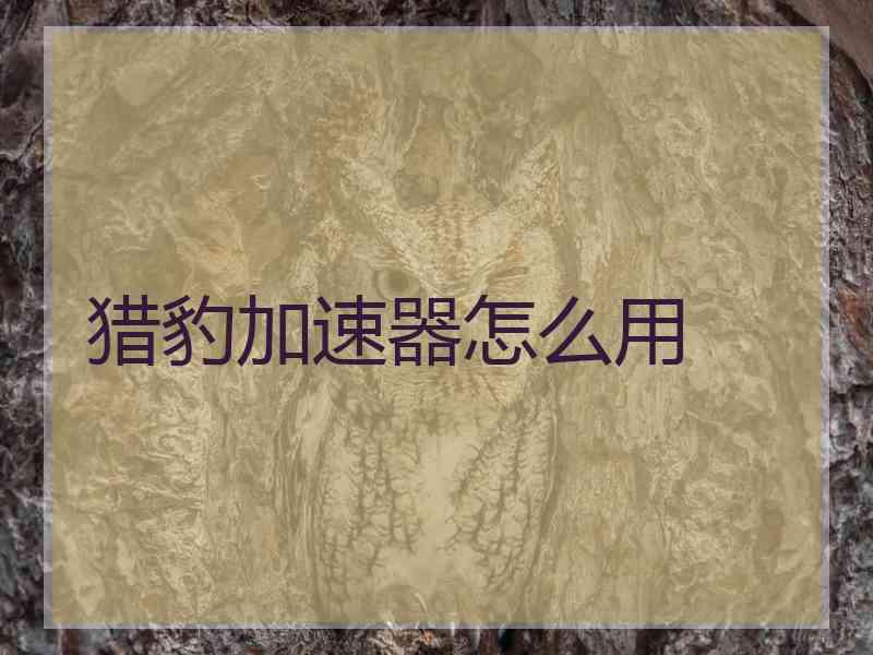 猎豹加速器怎么用