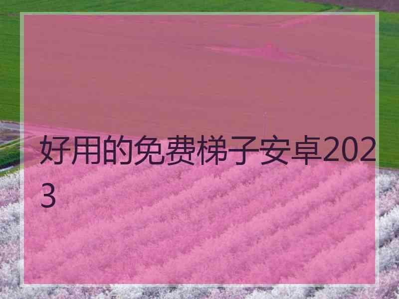 好用的免费梯子安卓2023