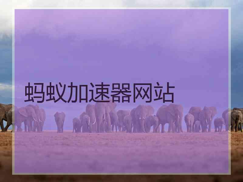 蚂蚁加速器网站