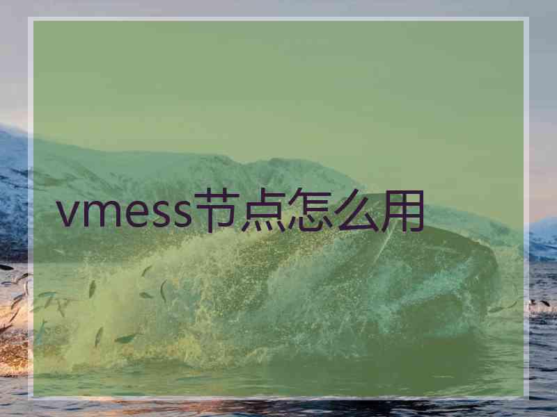 vmess节点怎么用