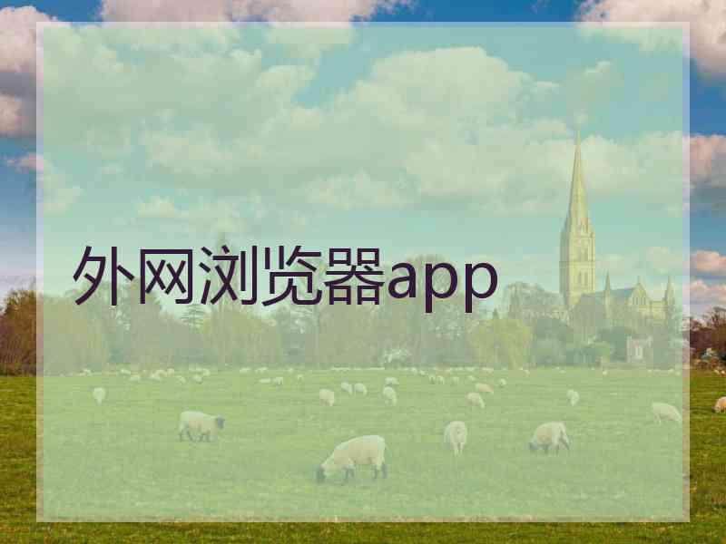 外网浏览器app