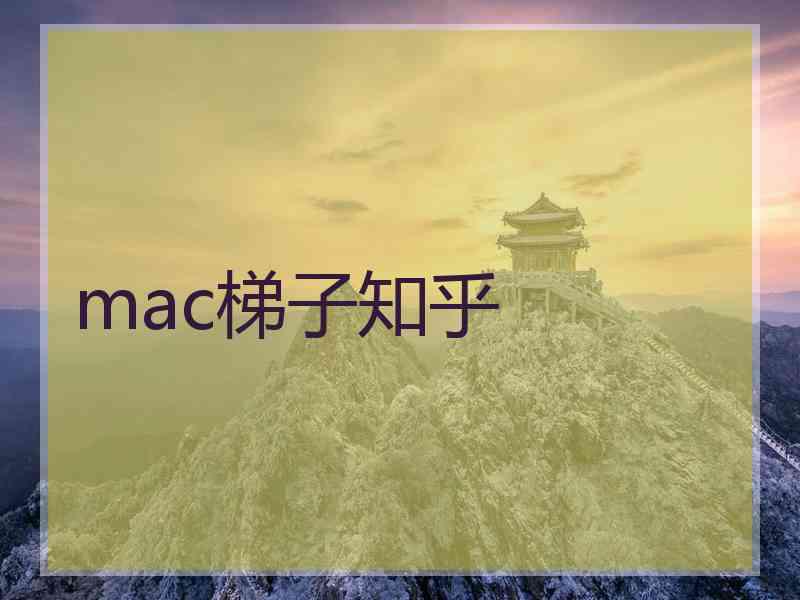 mac梯子知乎