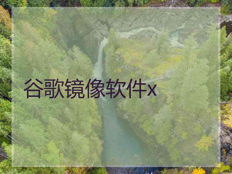 谷歌镜像软件x