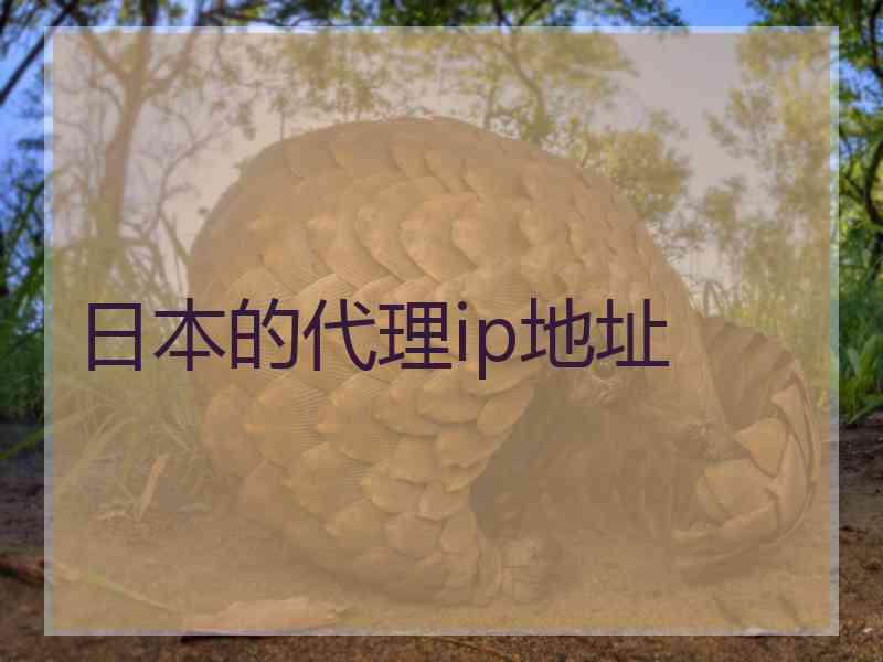 日本的代理ip地址